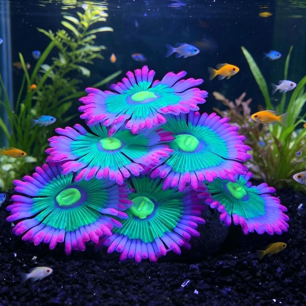 Aquarium Fish Cartoon - Świecące, miękkie dekoracje do akwarium, silikonowe,