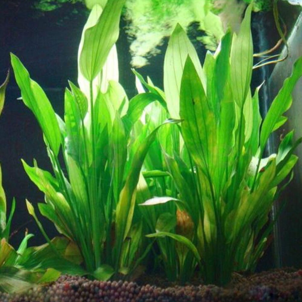 Aquarium Fish Cartoon - 15cm sztuczne akwarium rośliny dekoracyjne ozdobne
