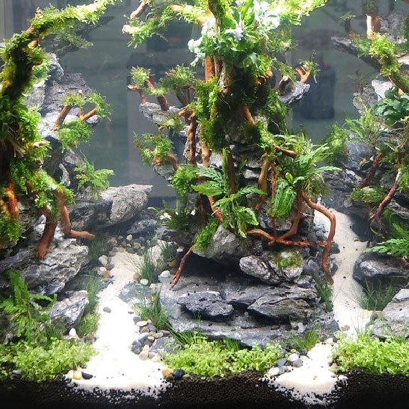 Naturalny korzeń drzewa z drew – Aquarium Fish And Supplies recenzja i cena