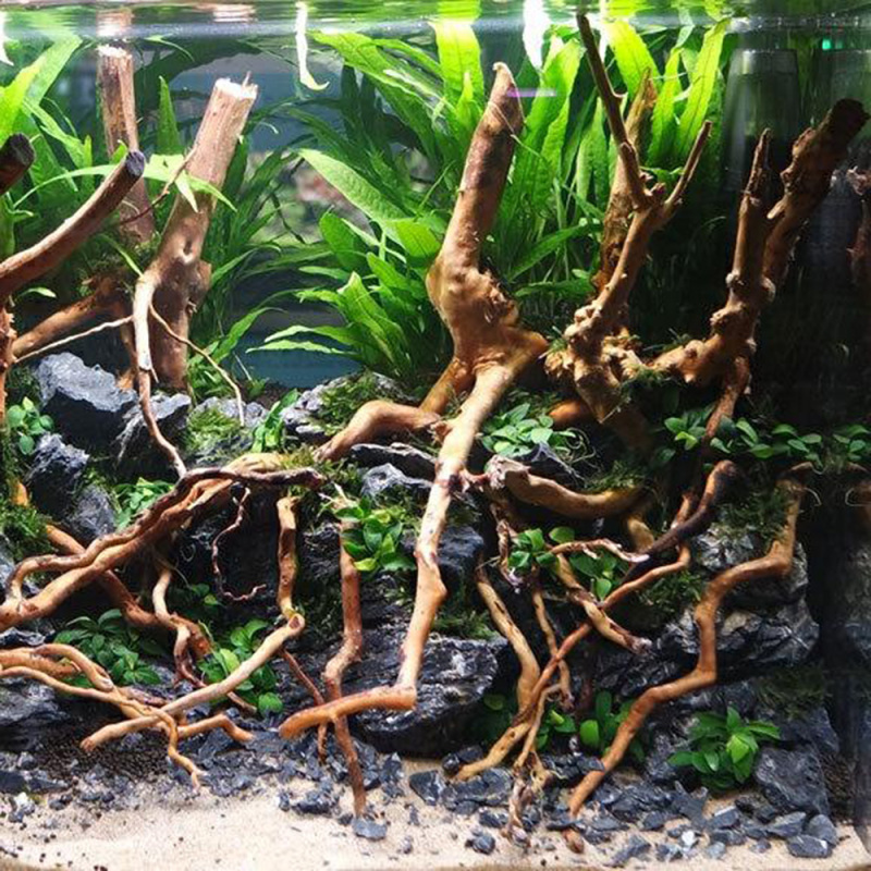 Naturalny korzeń drzewa z drew – Aquarium Fish And Supplies recenzja i cena