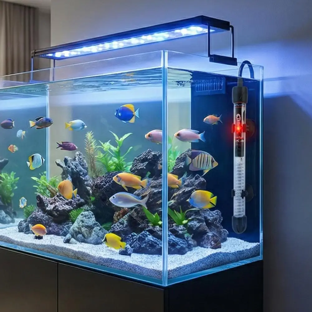 Regulowany grzałka do akwarium – Aquarium Fish Cold Water recenzja i cena