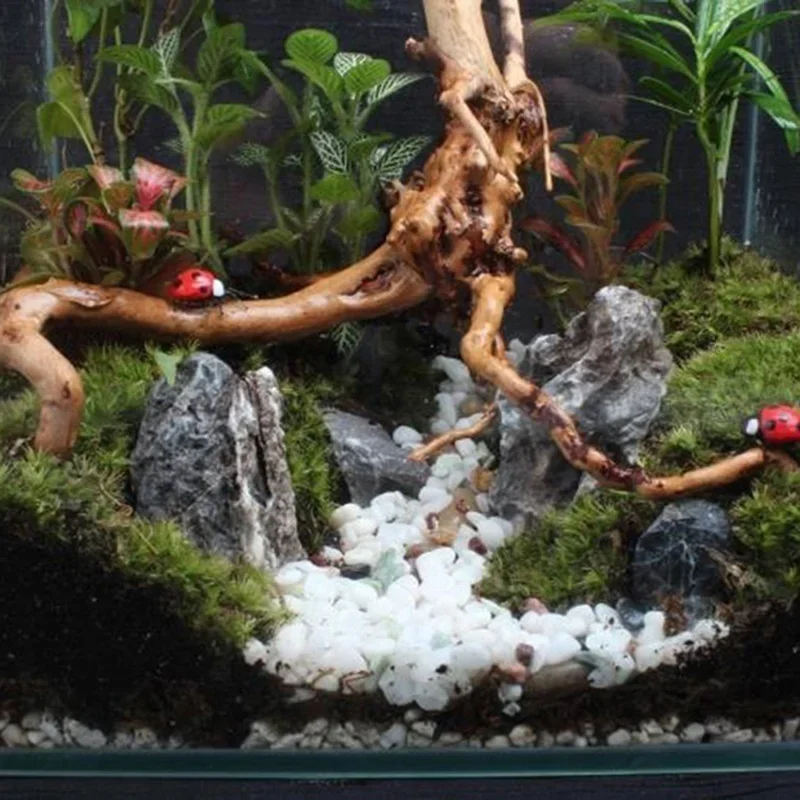 Naturalne drzewo pnia Driftwoo – Aquarium Fish Cartoon recenzja i cena