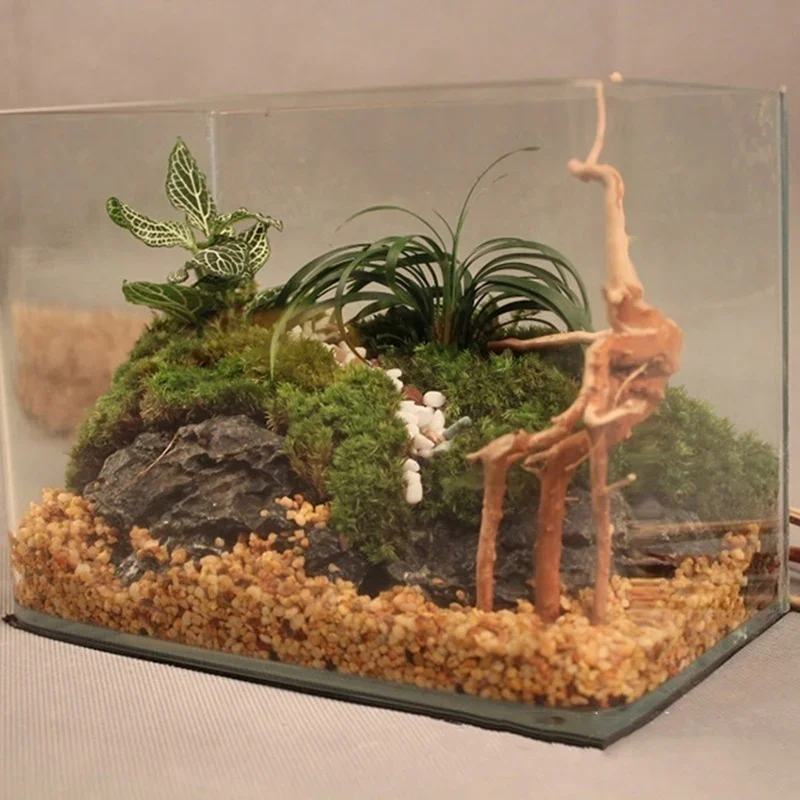 Naturalne drzewo pnia Driftwoo – Aquarium Fish Cartoon recenzja i cena