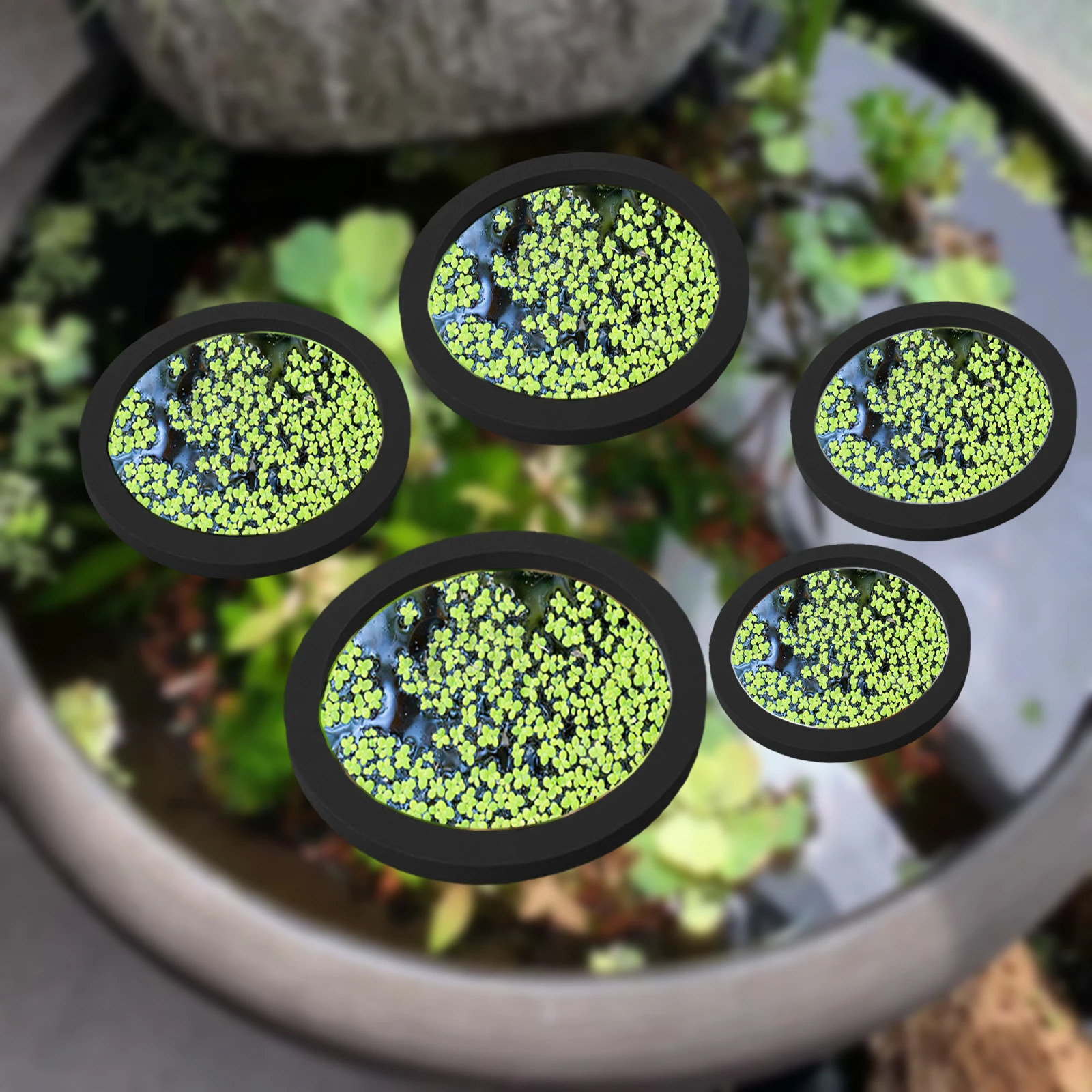 5Pcs EVA Pierścień do karmieni – Aquarium Fish Marine recenzja i cena