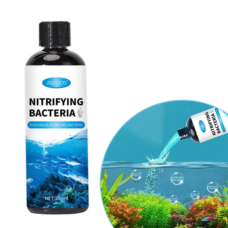 Bakterie nitryfikacyjne Płynny – Aquarium Fish And Supplies recenzja i cena