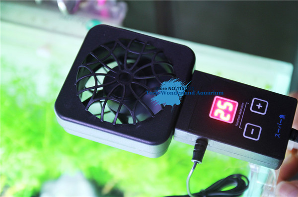 Mini nano clip powiesić na czu – Aquarium Fish Cold Water recenzja i cena