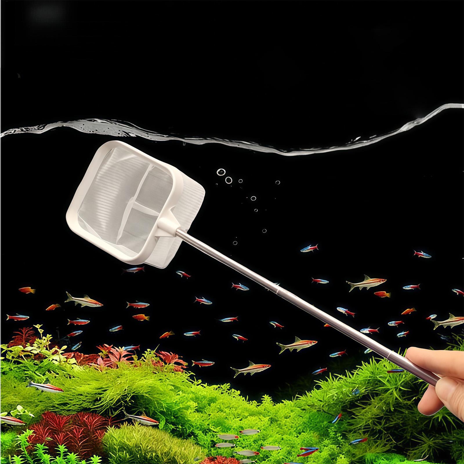 Wysuwana siatka do czyszczenia – Fish Net Handle recenzja i cena