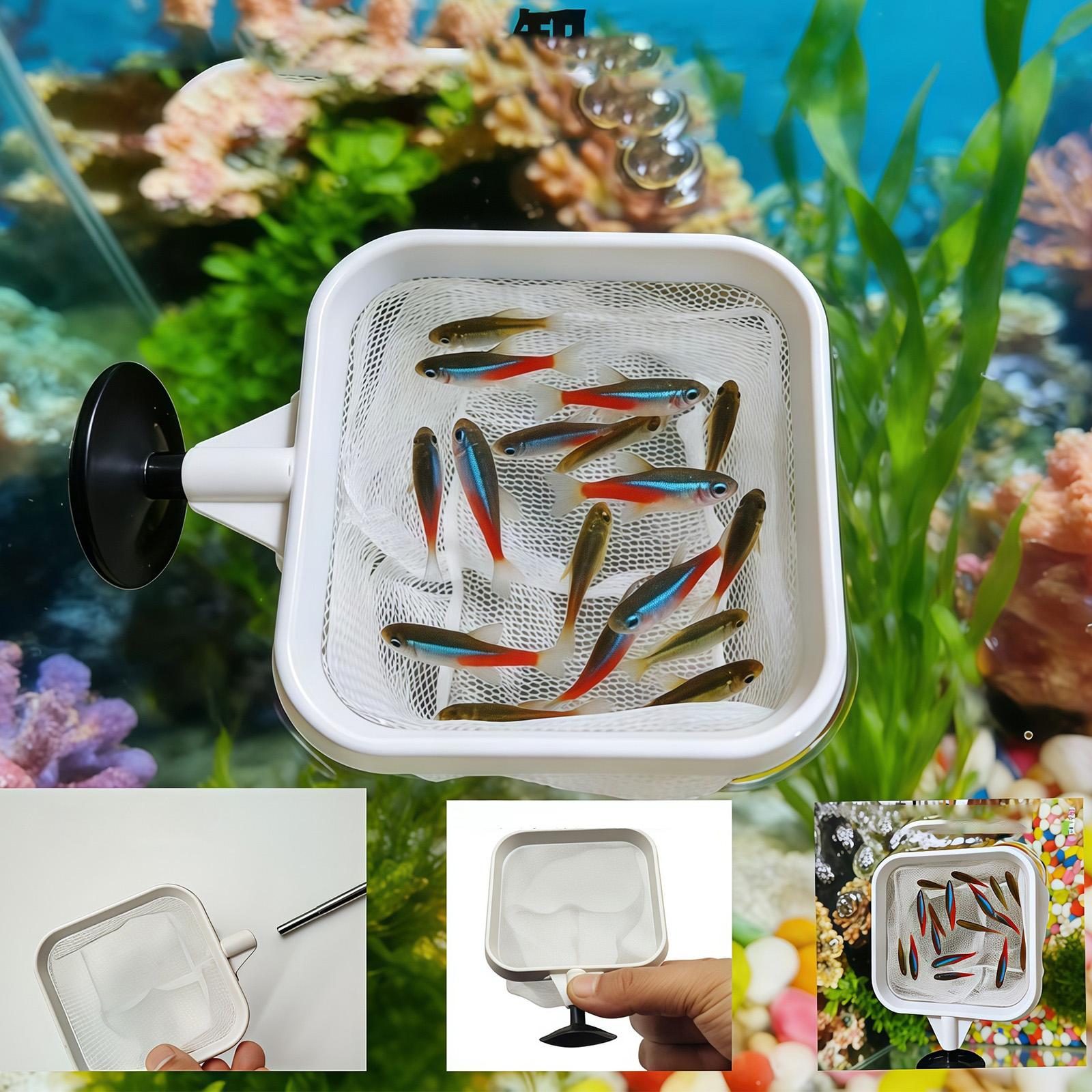 Wysuwana siatka do czyszczenia – Fish Net Handle recenzja i cena
