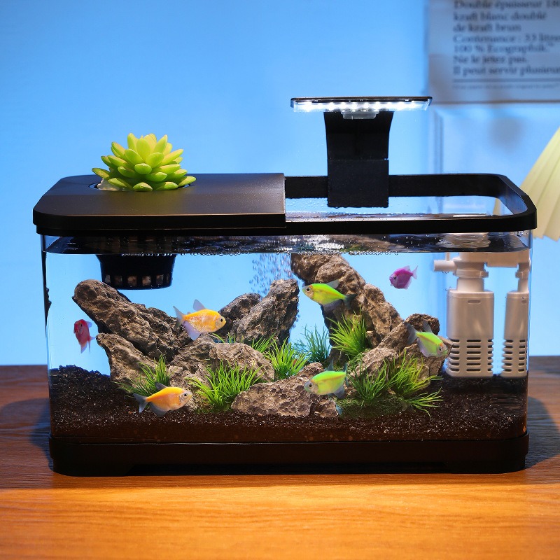 Akwarium stołowe z filtrem obi – Fish Tank Filter recenzja i cena