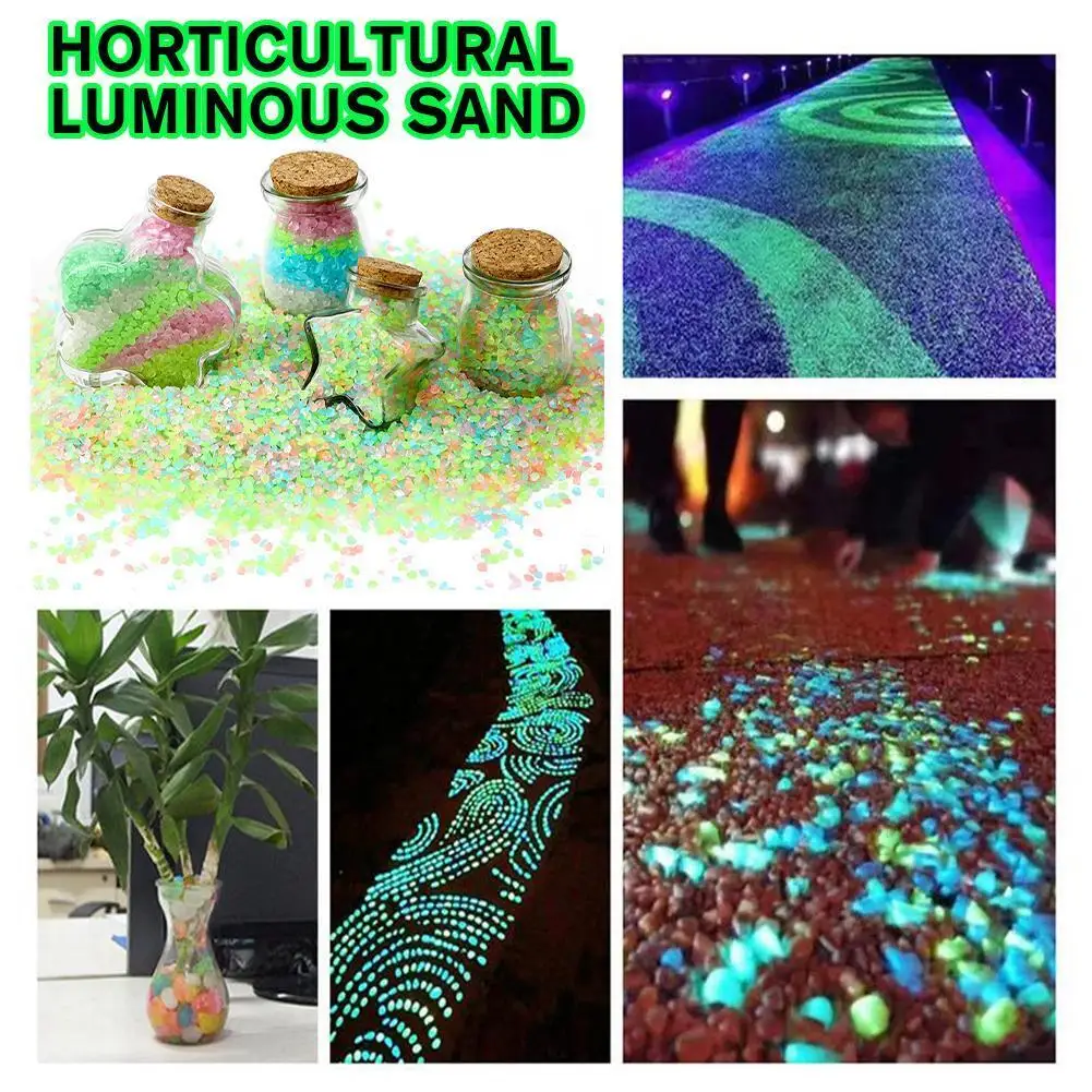 2000 sztuk świecących w ciemno – Aquarium Fish That Glow In The Dark recenzja i cena