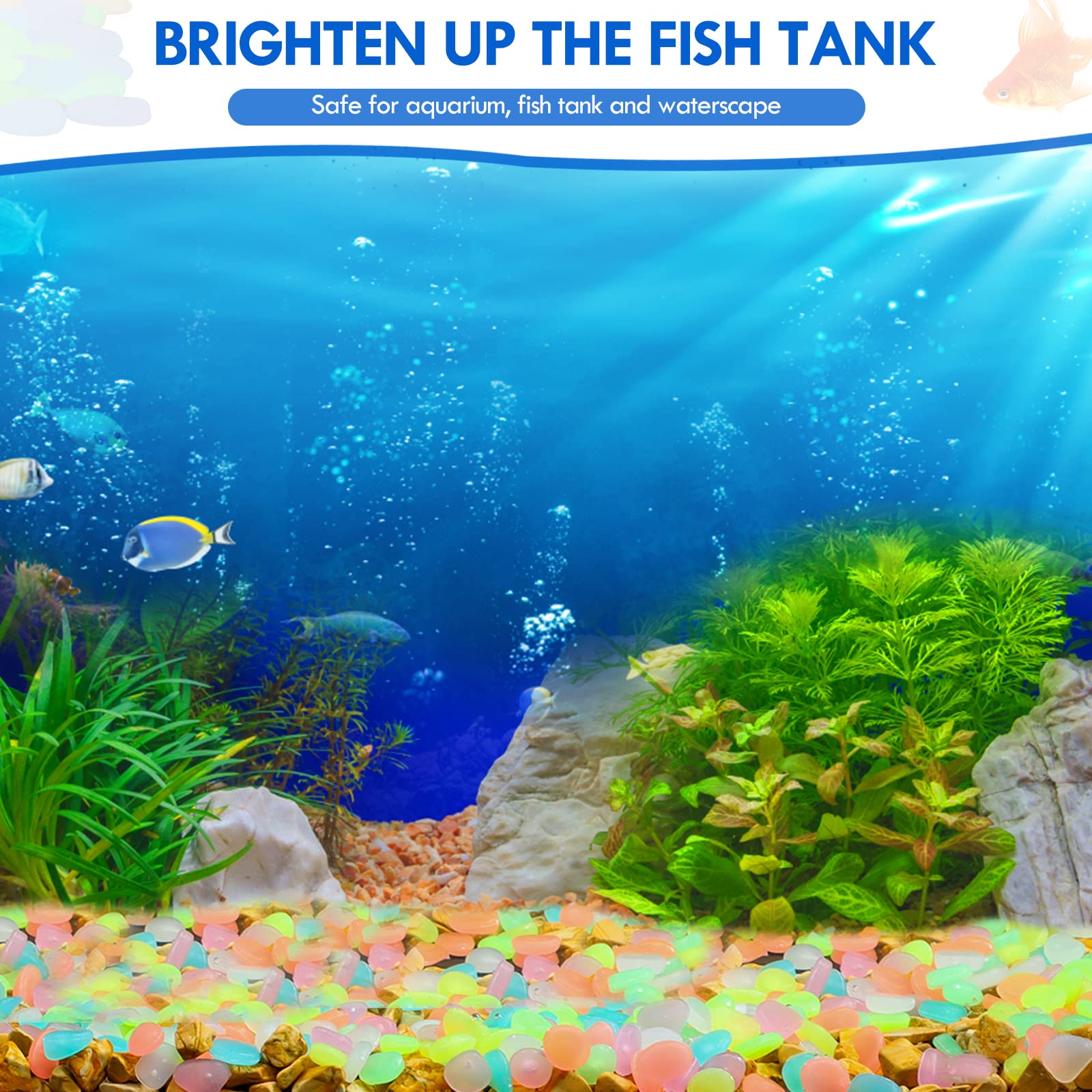100 sztuk świecących w ciemnoś – Aquarium Fish That Glow In The Dark recenzja i cena