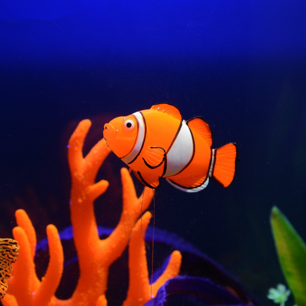 Świecąca w ciemności silikonow – Aquarium Fish That Glow In The Dark recenzja i cena